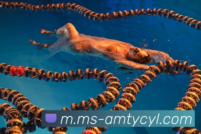 太阳城娱乐APP 体育赛事宣传图